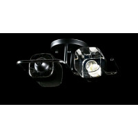 Люстра с плафонами  L8456/2 (BK+CR) Splendid-Ray
234463