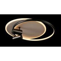 Светодиодная люстра L2451/480/2+2 LED (WHITE+BLACK) Splendid-Ray
2624