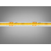 COB LED стрічка 12В, 320 діодів на метр, 5мм, нейтральний Diasha P12-COB-320-NW-20-5