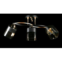 Люстра с плафонами  L7570/3 (FG+BK) Splendid-Ray
234466