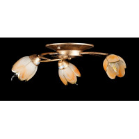 Люстры потолочные с пафоном Splendid-Ray 192158