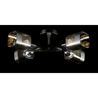 Люстра с плафонами  LGH51121/4 (BK+CR) Splendid-Ray
286371