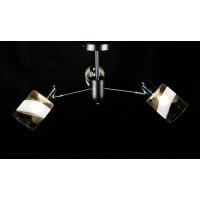 Люстра с плафонами Splendid-Ray 286174(BK+CR)