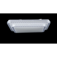 Светодиодная люстра Splendid-Ray 1999522/48W*2 LED (WT)