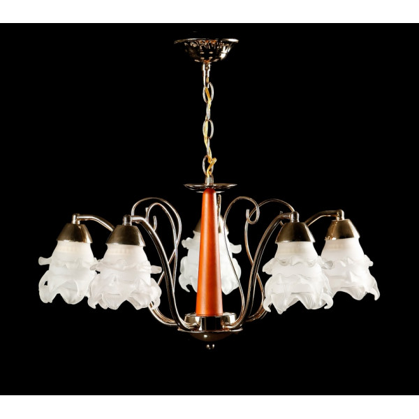 Люстра с плафонами  LAAA04/5 (FGD) Splendid-Ray
879726