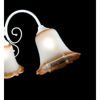 Люстра подвесная в спальню с плафонами Splendid-Ray 212047(MIX)