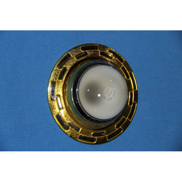 Точечный светильник ZJ1122A R50(с лампочкой) (GCH) Splendid-Ray
145012