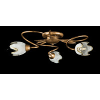 Люстра с плафонами Splendid-Ray 882425 Люстра с плафонами Splendid-Ray 882425