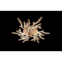 Люстра светодиодная Linisoln 1837/6+3 WH LED