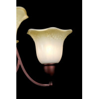 Люстры потолочные с пафоном Splendid-Ray 221168