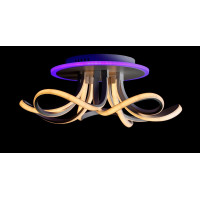 Люстры потолочные светодиодные с пультом Splendid-Ray C25/40/91