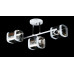 Люстра с плафонами  LGH60188/3 (WT+CR) Splendid-Ray
286370