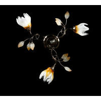 Люстра потолочная с плафонами Splendid-Ray 880081 (FGD+BRN)