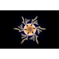 Люстра светодиодная Linisoln 1837/6 WH LED