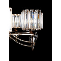 Люстра с плафонами Splendid-Ray 257992(FGD+WT)