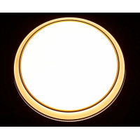 Светодиодная люстра L9178/36W*2 LED (WT+GD) Splendid-Ray
1999517