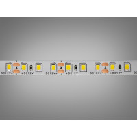 LED стрічка 12В, 120 діодів на метр, 8мм, нейтральний Diasha P12D-2835-120-NW-20-8
