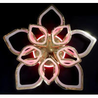 Cветодиодная люстра Linisoln 5540/5+5 FG