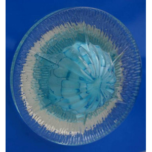 Точечный светильник OSD302 [BL] Splendid-Ray
999912