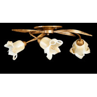 Люстры потолочные с пафоном Splendid-Ray 882420