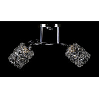 Люстра с плафонами  L75614A/2 (CR) Splendid-Ray
260202