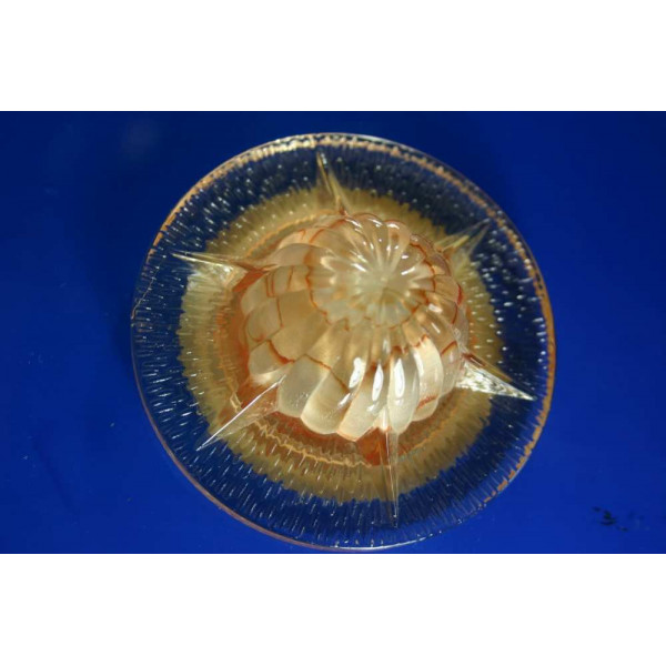 Точечный светильник OSD315 [RED] Splendid-Ray
999949