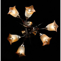 Люстра с плафонами Splendid-Ray 192054(FGD)