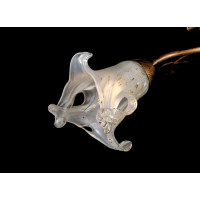 Люстра потолочная с плафонами Splendid-Ray 192378