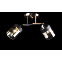 Люстра с плафонами  L7470/2 (FG+BK) Splendid-Ray
234322