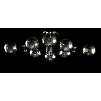 Люстра с плафонами  L91191/8 (BLK+CR) Splendid-Ray
0260802