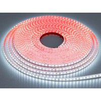 LED стрічка 24в, 120 шт/м, герметична, 8мм, холодний Diasha N24-2835-120-CW-65-8