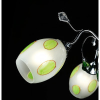 Люстра с плафонами Splendid-Ray 18814691(MIX(FGD1+CR1))