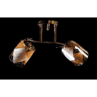 Люстра с плафонами Splendid-Ray 260716 Люстра с плафонами Splendid-Ray 260716