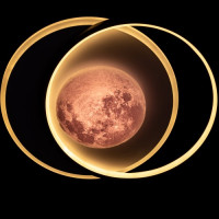 linisiln 7651-30 linisiln 7651-30