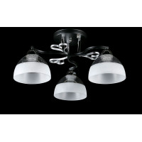 Люстра с плафонами  L8371/3A (BK+CR) Splendid-Ray
234475