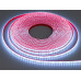 LED стрічка 12в, 120 шт/м, герметична, 8мм, холодний Diasha N12-2835-120-CW-68-8