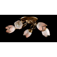 Люстра с плафонами  L88819/5 (GB) Splendid-Ray
882201