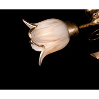 Люстры потолочные с пафоном Splendid-Ray 882198 (GB) 