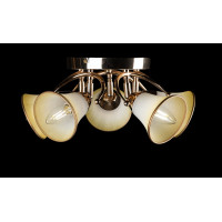 Люстра с плафонами Splendid-Ray 192416