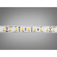 LED стрічка 24В, 140 діодів на метр, 8мм, теплий Diasha P24-2835-140-WW-20-8