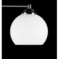 Люстра с плафонами (BK+CR) Splendid-Ray 286166