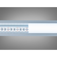 LED стрічка 24в, 240 діодів на метр, 15мм, теплий+холодний Diasha N24-2835-240-CW+WW-20-15