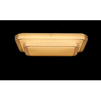 Светодиодная люстра Splendid-Ray1999521/36W*2 LED (WT)