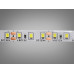 LED стрічка 12В, 120 діодів на метр, 8мм, холодний Diasha P12D-2835-120-CW-20-8