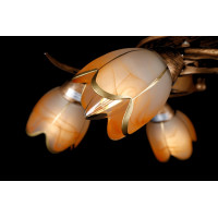 Люстры потолочные с пафоном Splendid-Ray 192159