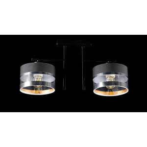 Люстра с плафонами  L232057/2 (BK) Splendid-Ray
230211