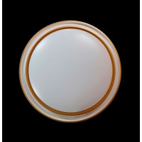 Светодиодная люстра L9178/24W*2 LED (WT+GD) Splendid-Ray
1999516