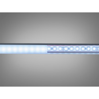 LED стрічка 24в, 120 шт/м, герметична, 8мм, холодний Diasha N24-2835-120-CW-68-8