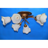 Люстра с плафонами  L10028/6 Splendid-Ray
192394