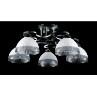 Люстра с плафонами  L8258/5 (BK+CR) Splendid-Ray
234494